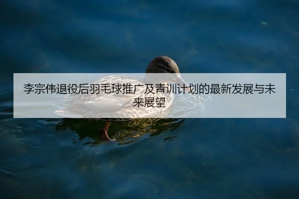 李宗伟退役后羽毛球推广及青训计划的最新发展与未来展望