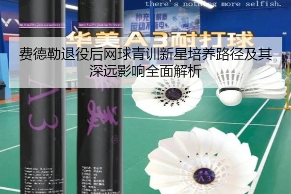 费德勒退役后网球青训新星培养路径及其深远影响全面解析